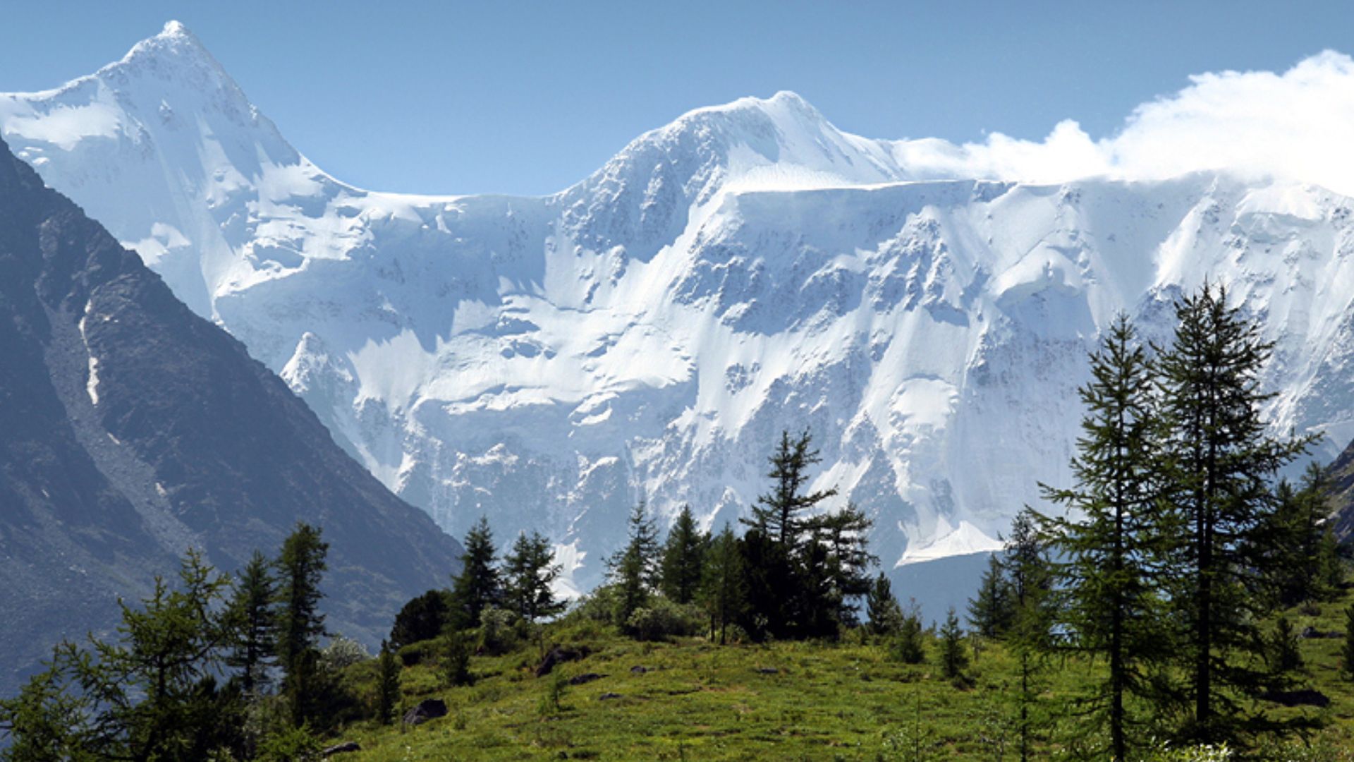 File:2006-07 altaj belucha.jpg