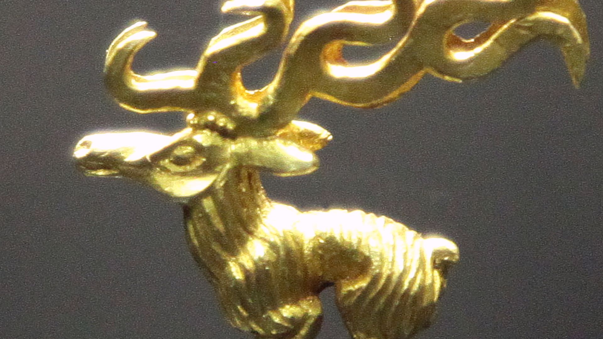 File:Arzhan deer.jpg