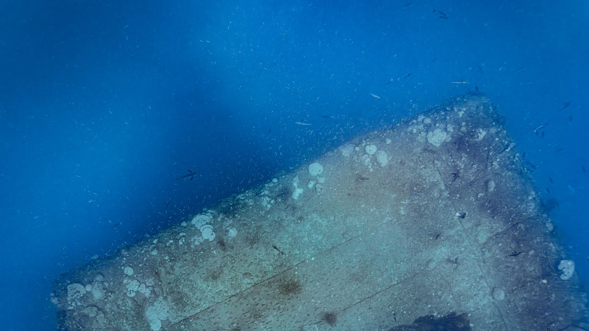 File:USS Saratoga CV3.jpg