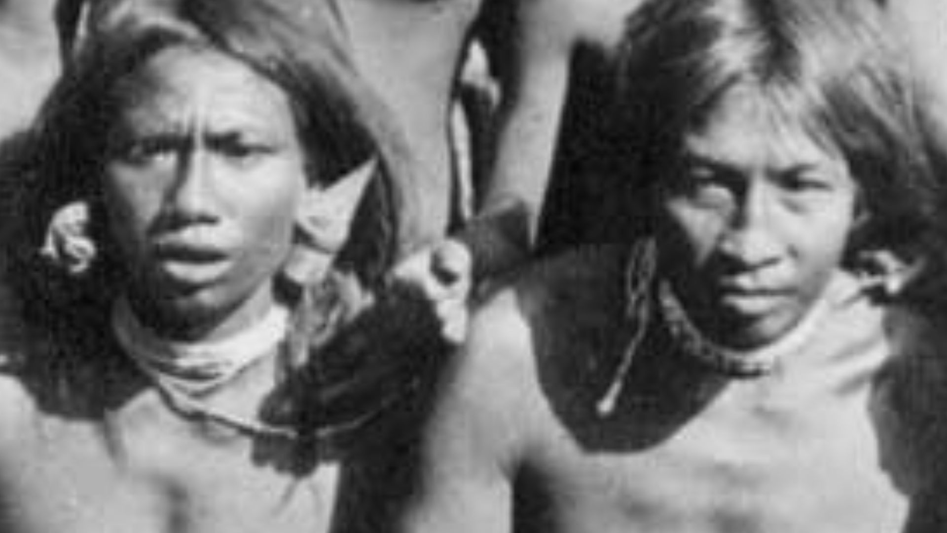 File:Shompen mixed group-1886.jpg