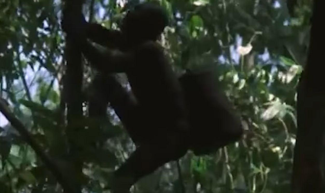 Sentinelese people of North Sentinel 