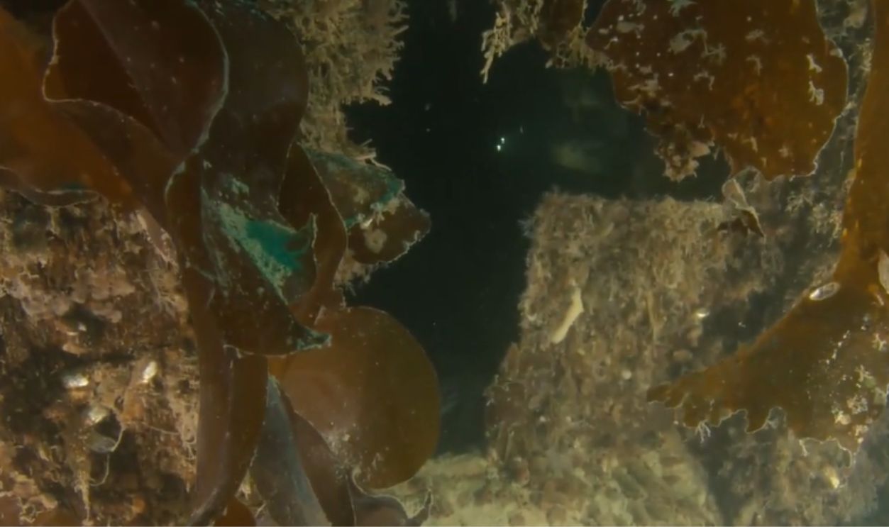 A Message In The Wreckage