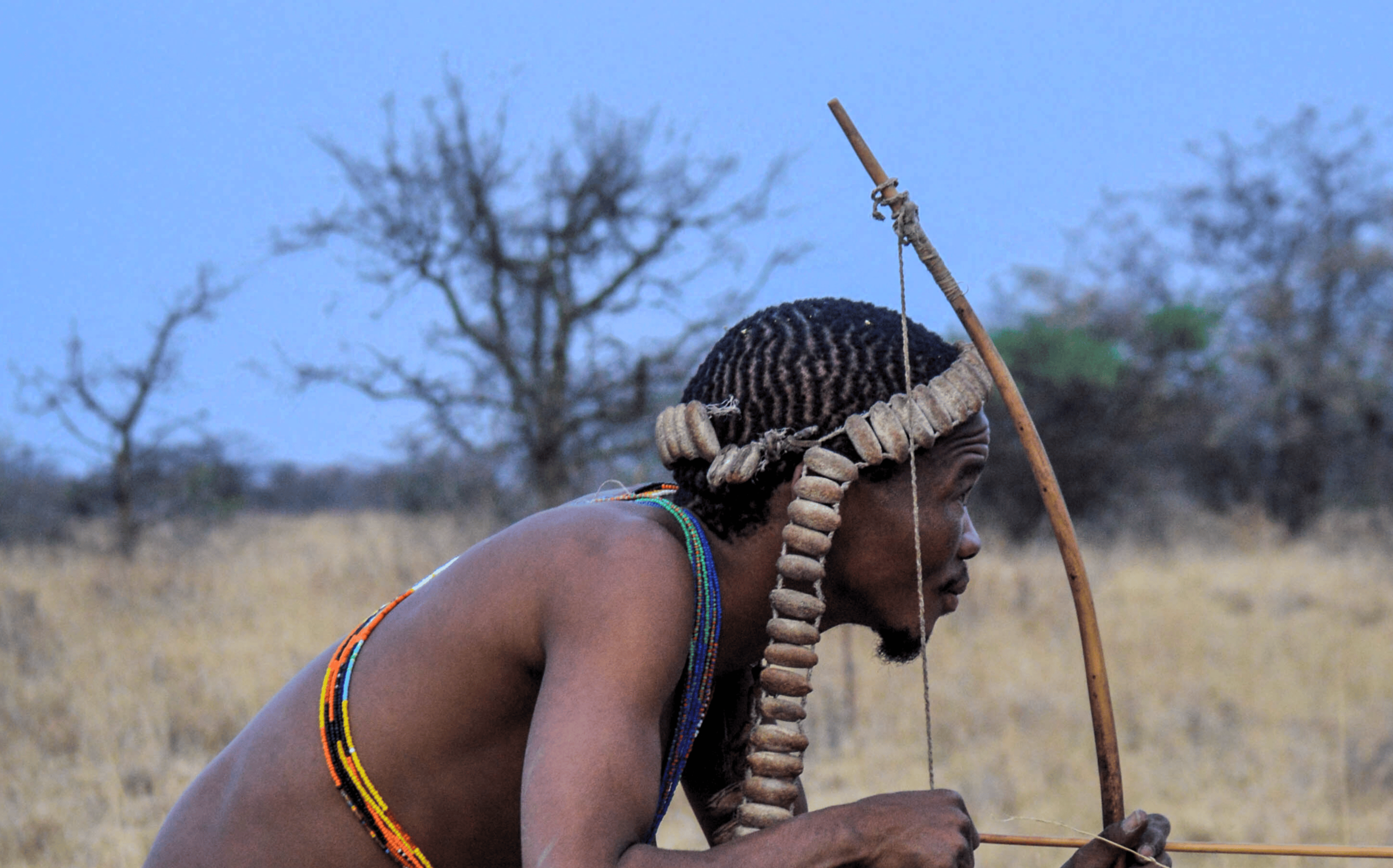 Bushmen Hunters