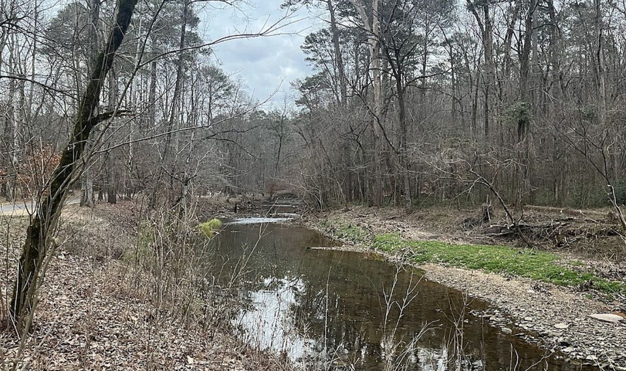 Why Birmingham’s Soil Hides So Many Secrets