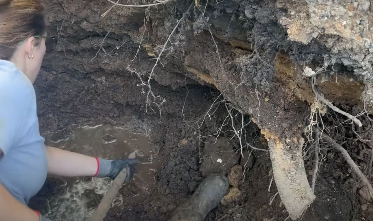 It Started With A Shovel And A Hunch