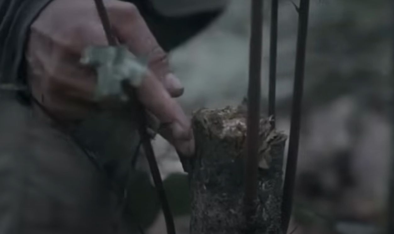 Tapir Traps and Torchlight