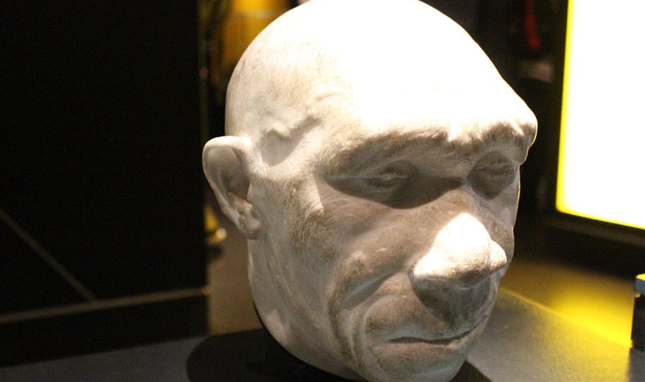 Homo Heidelbergensis