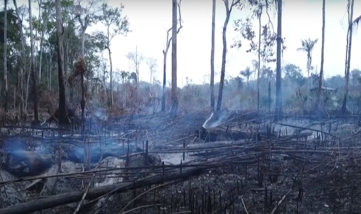 Encroaching Destruction