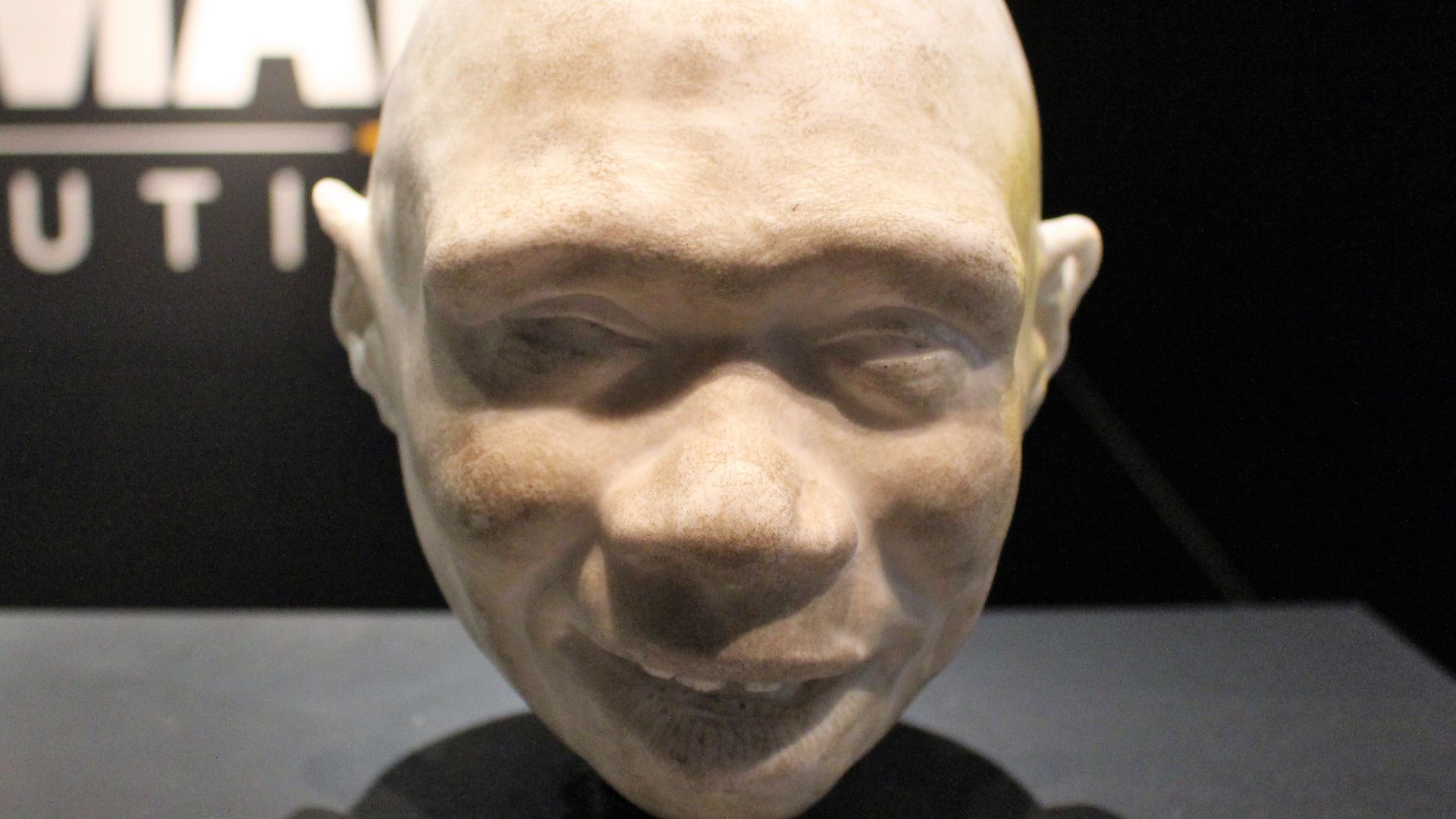 File:Em - Homo antecessor child model - 1.jpg