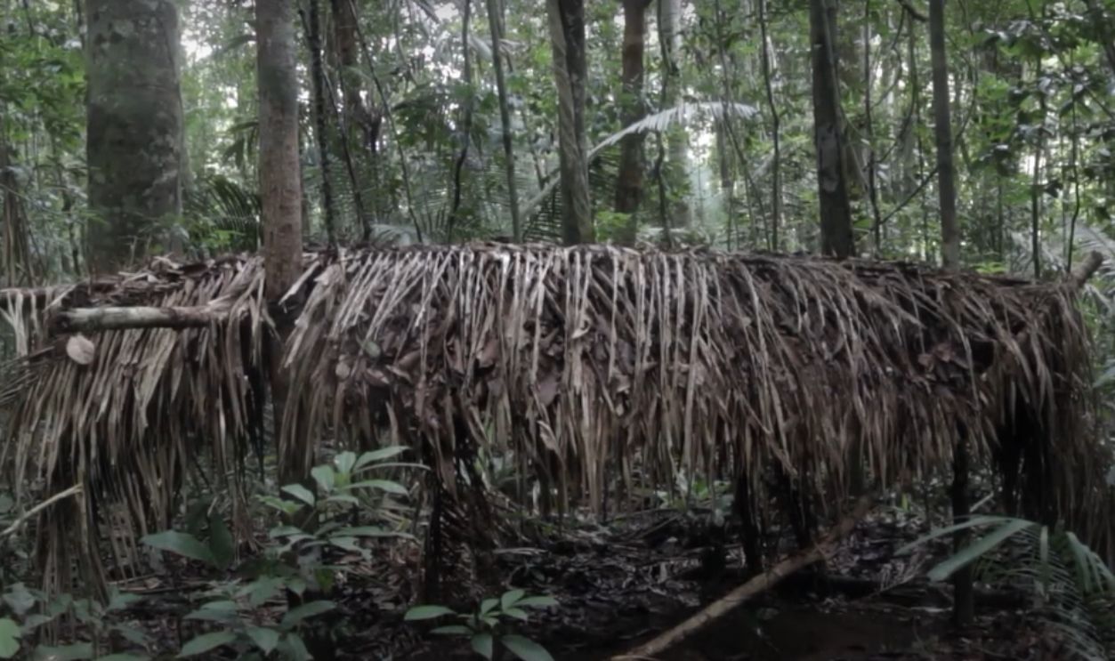 The Butterfly People