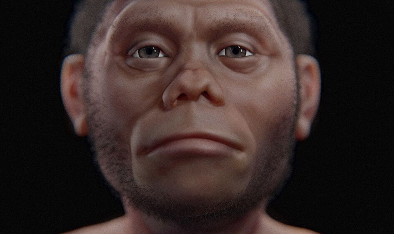 Homo Floresiensis (Cont.)