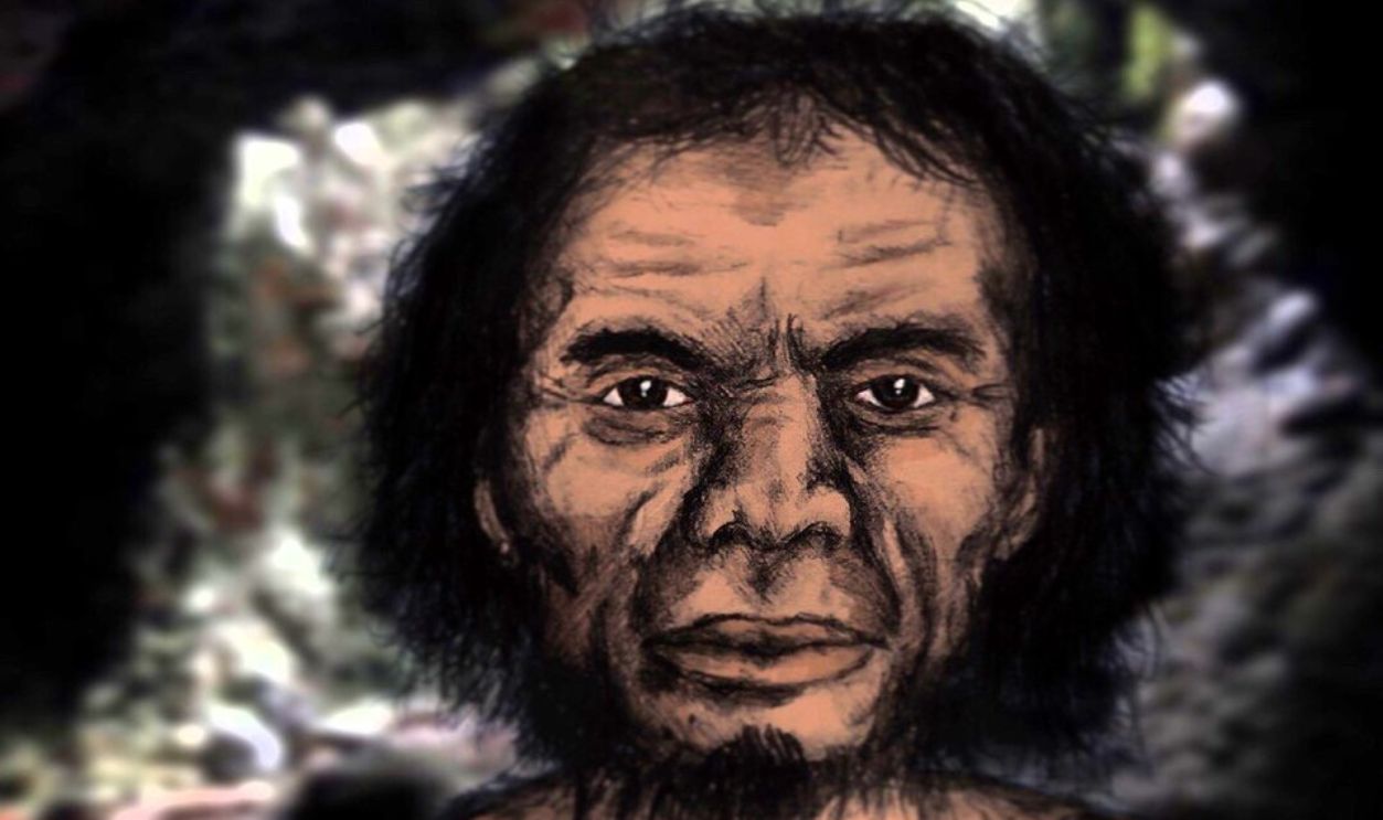 Homo Luzonensis (Cont.)