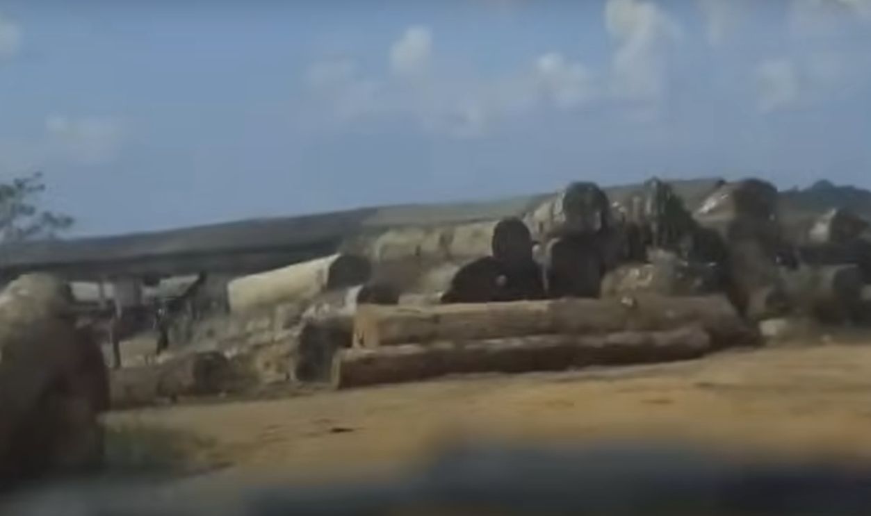 Struggle For Survival