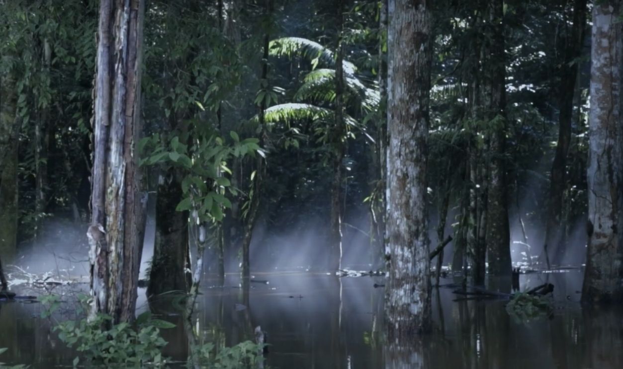 A Solitary Existence