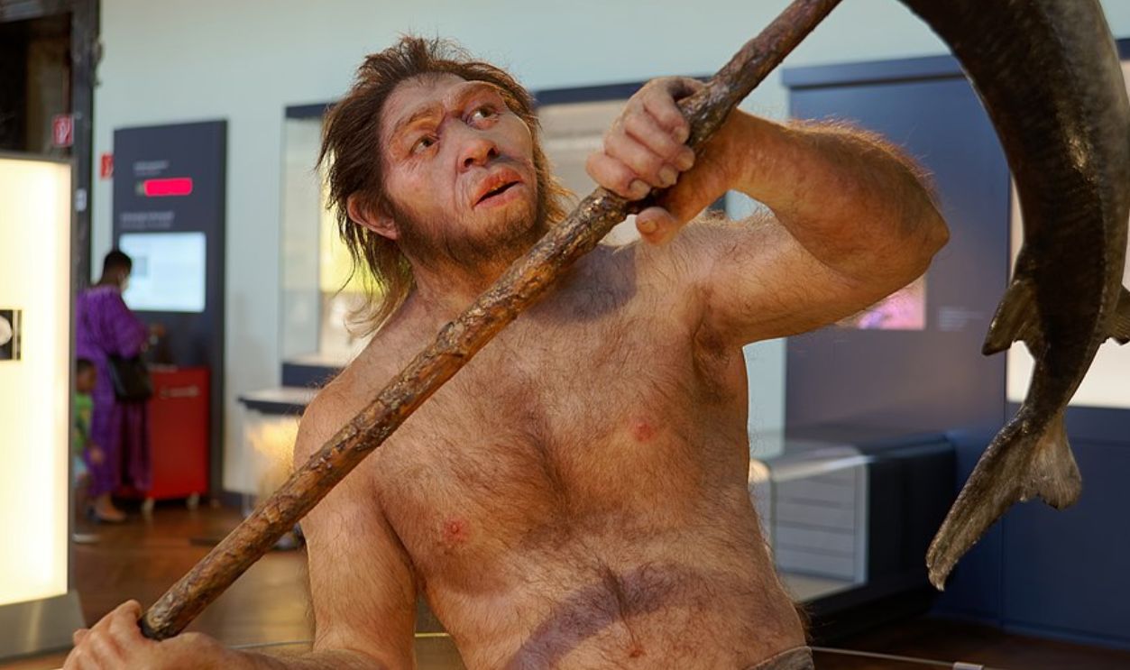 Homo Erectus