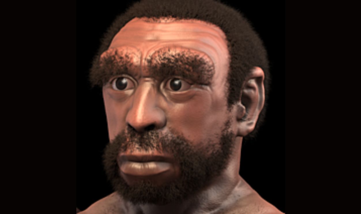 Homo Rudolfensis
