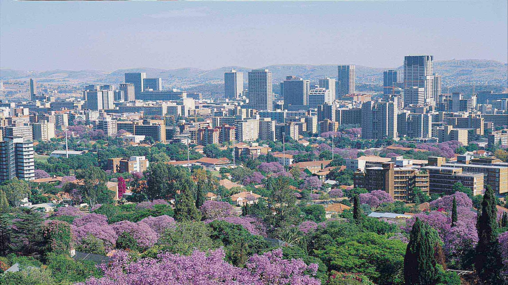 File:Jacaranda City, Tshwane, Pretoria, South Africa (2418526898).jpg