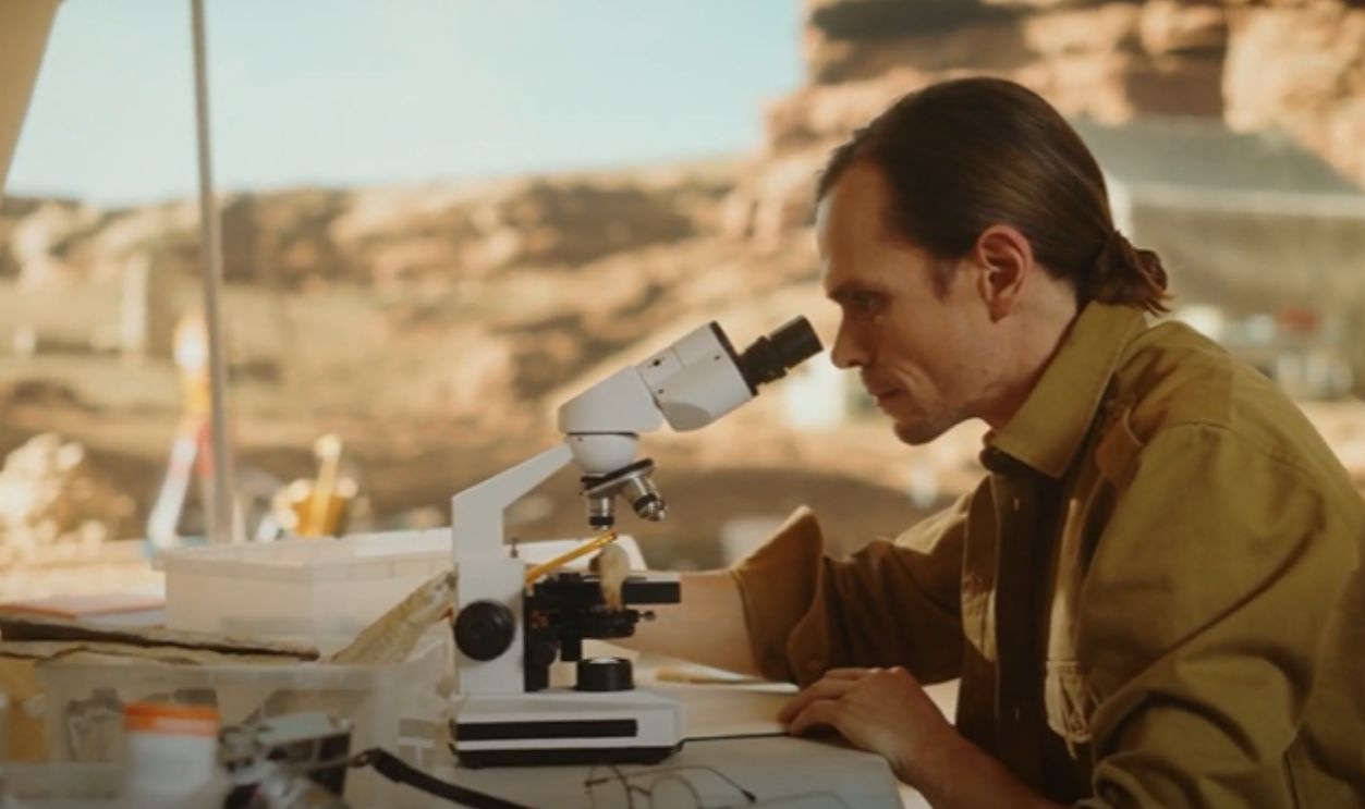 Ongoing Research Aims To Decipher Origins