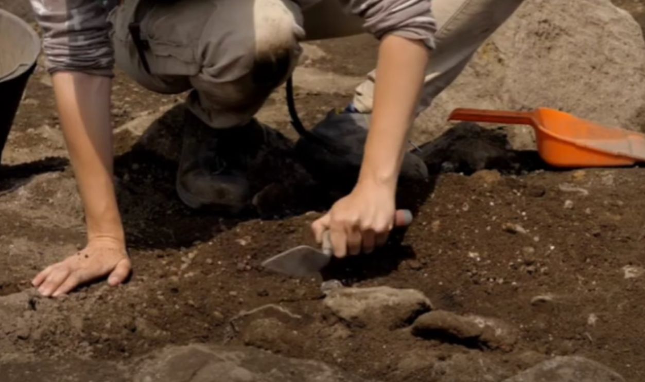 Local Knowledge Sparked The Major Breakthrough