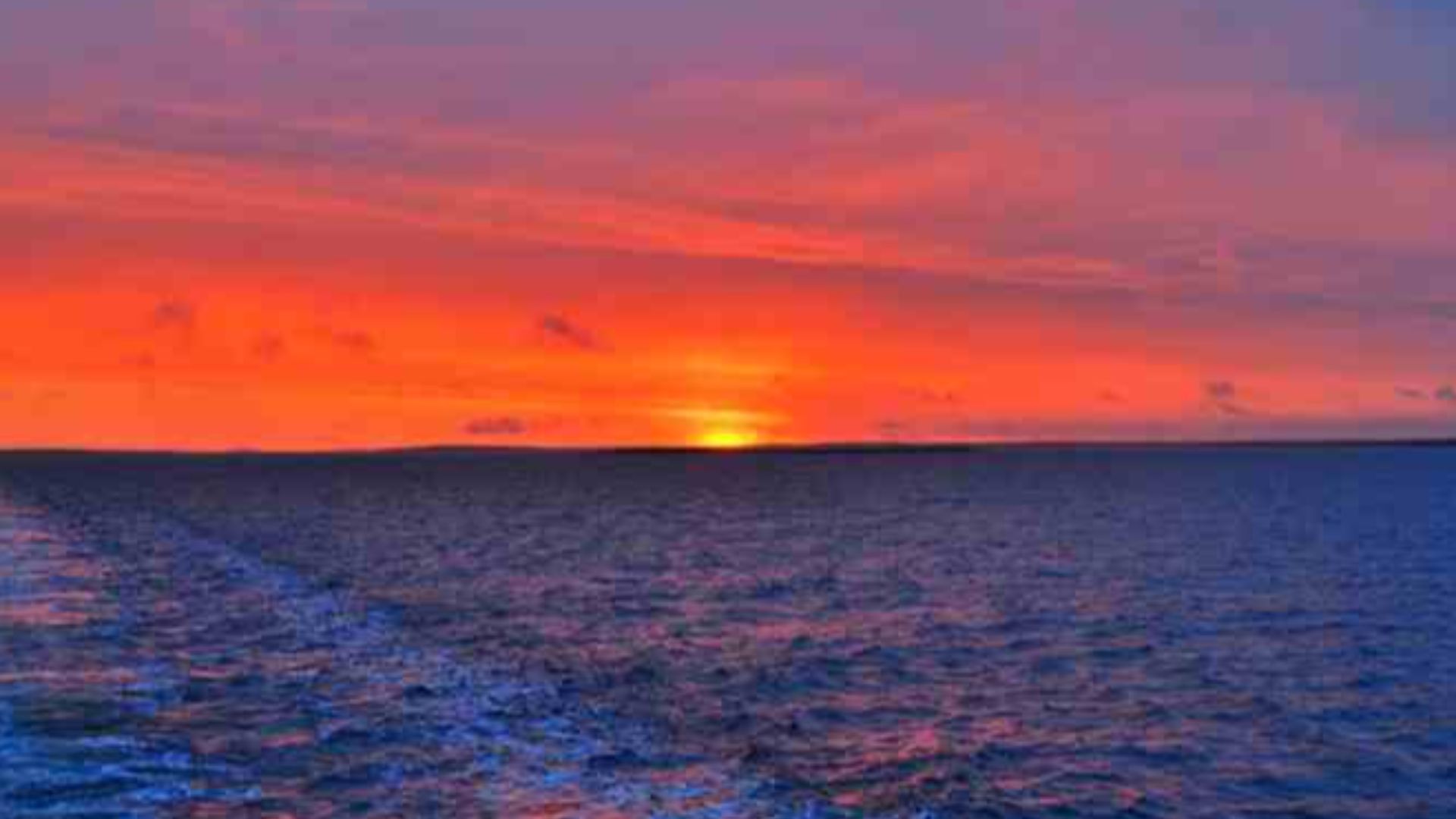 File:Simpson Strait 2011 (UXW 0452).jpg