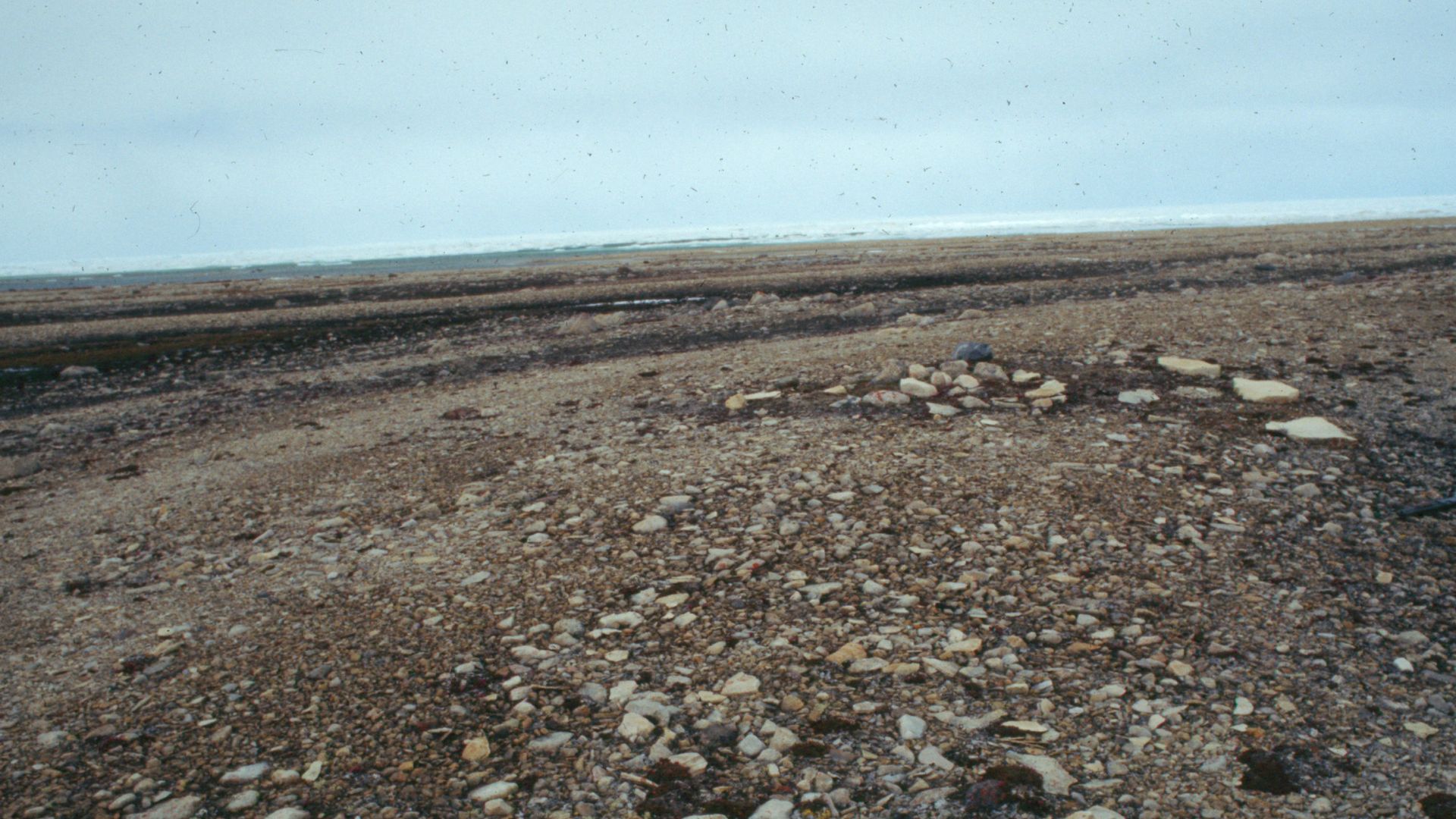 File:Franklin Summer camp.jpg