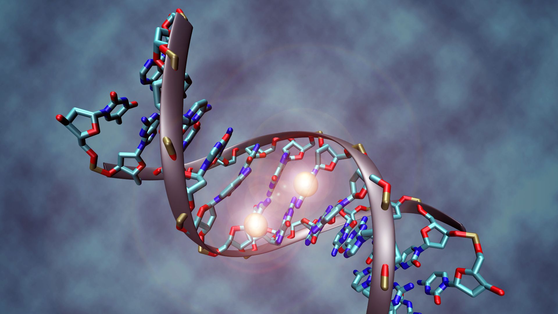 File:DNA methylation.jpg