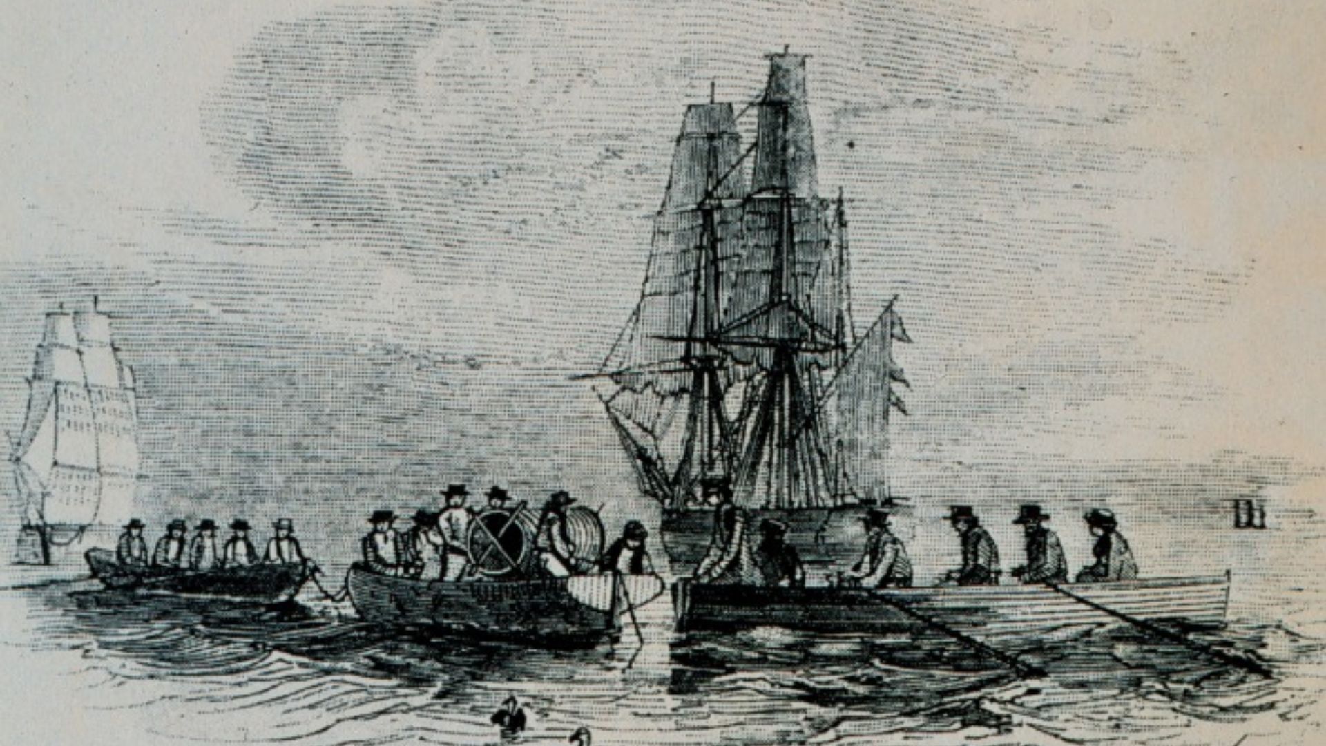 File:Erebus and terror 1840.jpg