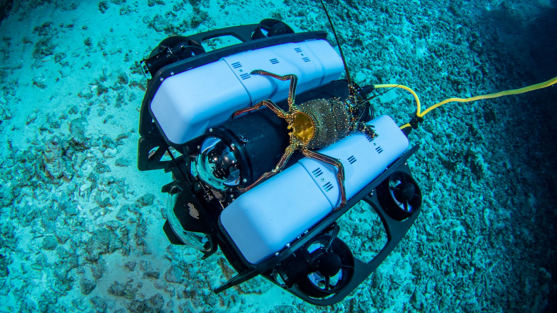 File:ROV with electric thrusters.jpg