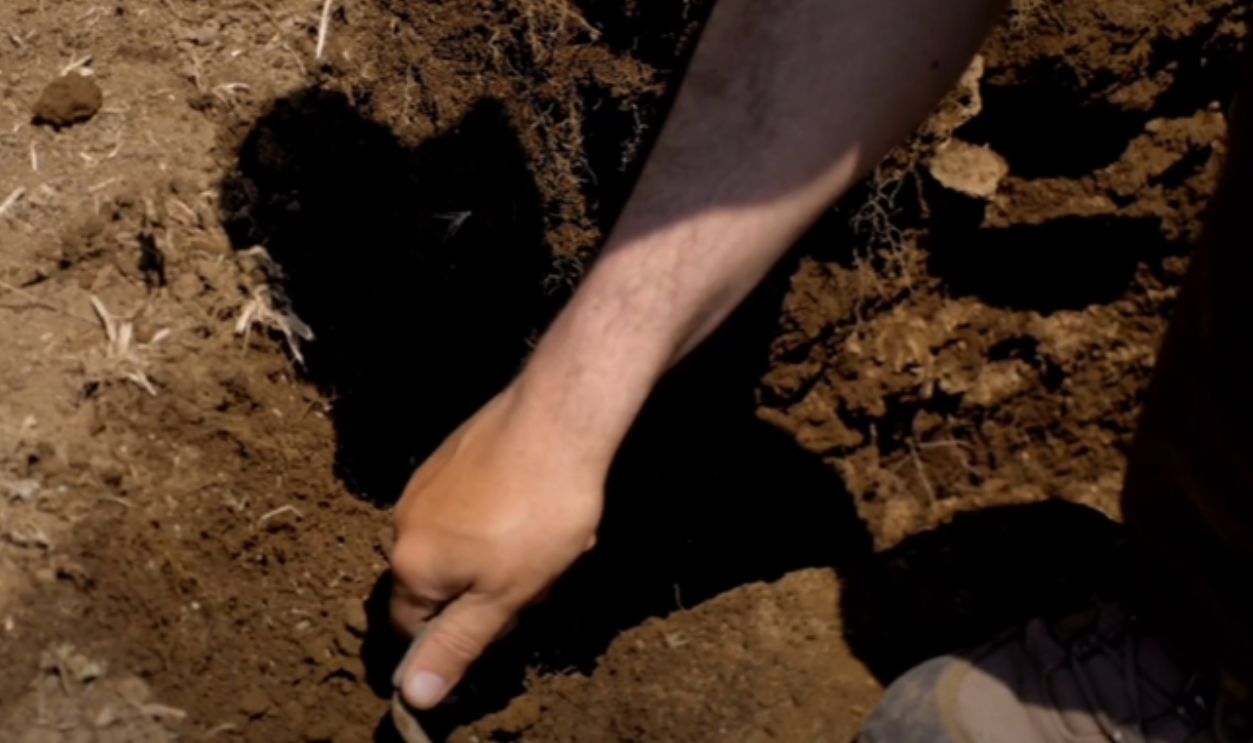Sunlight Guided The Temple's Entrance