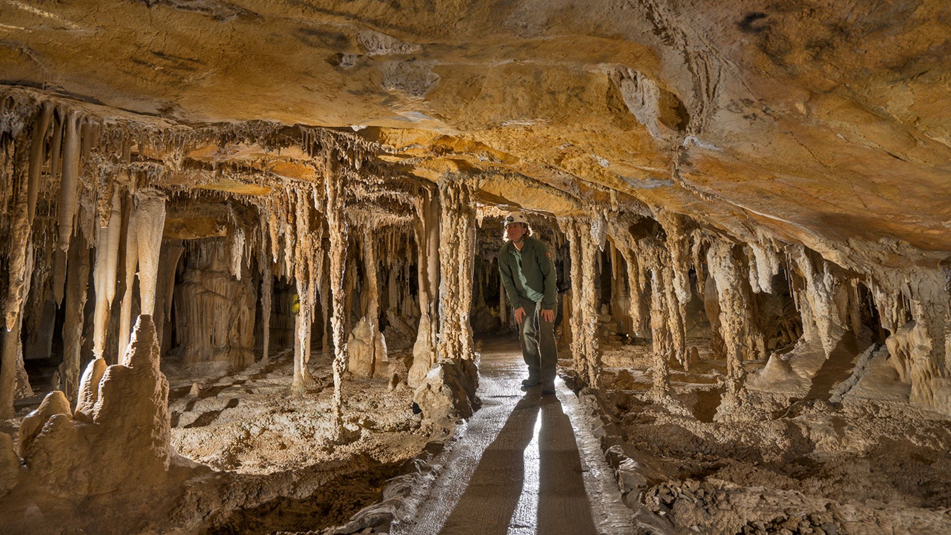 File:Lehman Cave Cypress Swamp.jpg