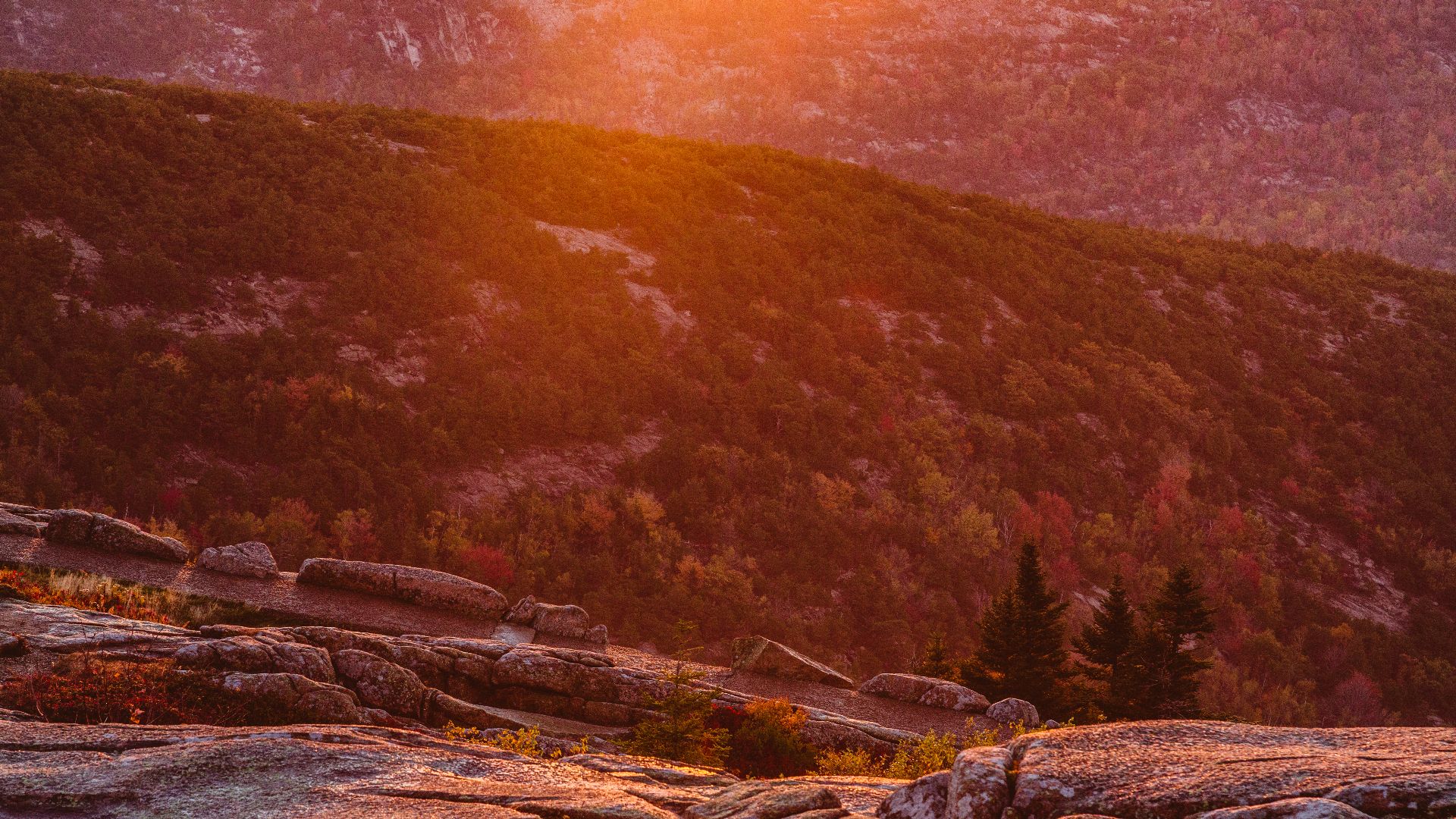 File:Cadillac Mountain Sunrise, Acadia National Park (30621606400).jpg