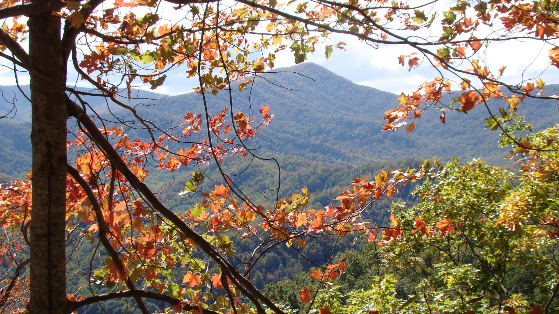 File:The Smoky Mountains, in Great Smoky Mountains National Park.jpg