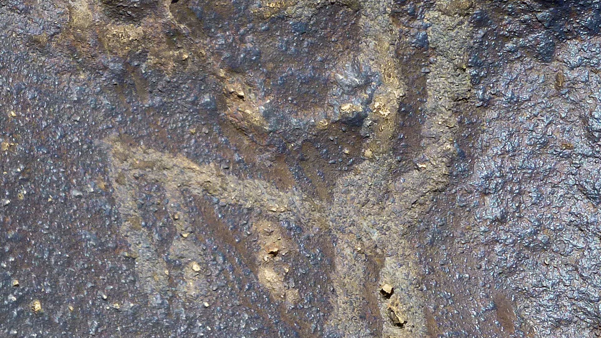 File:Ughtasar petroglyphs (11).jpg