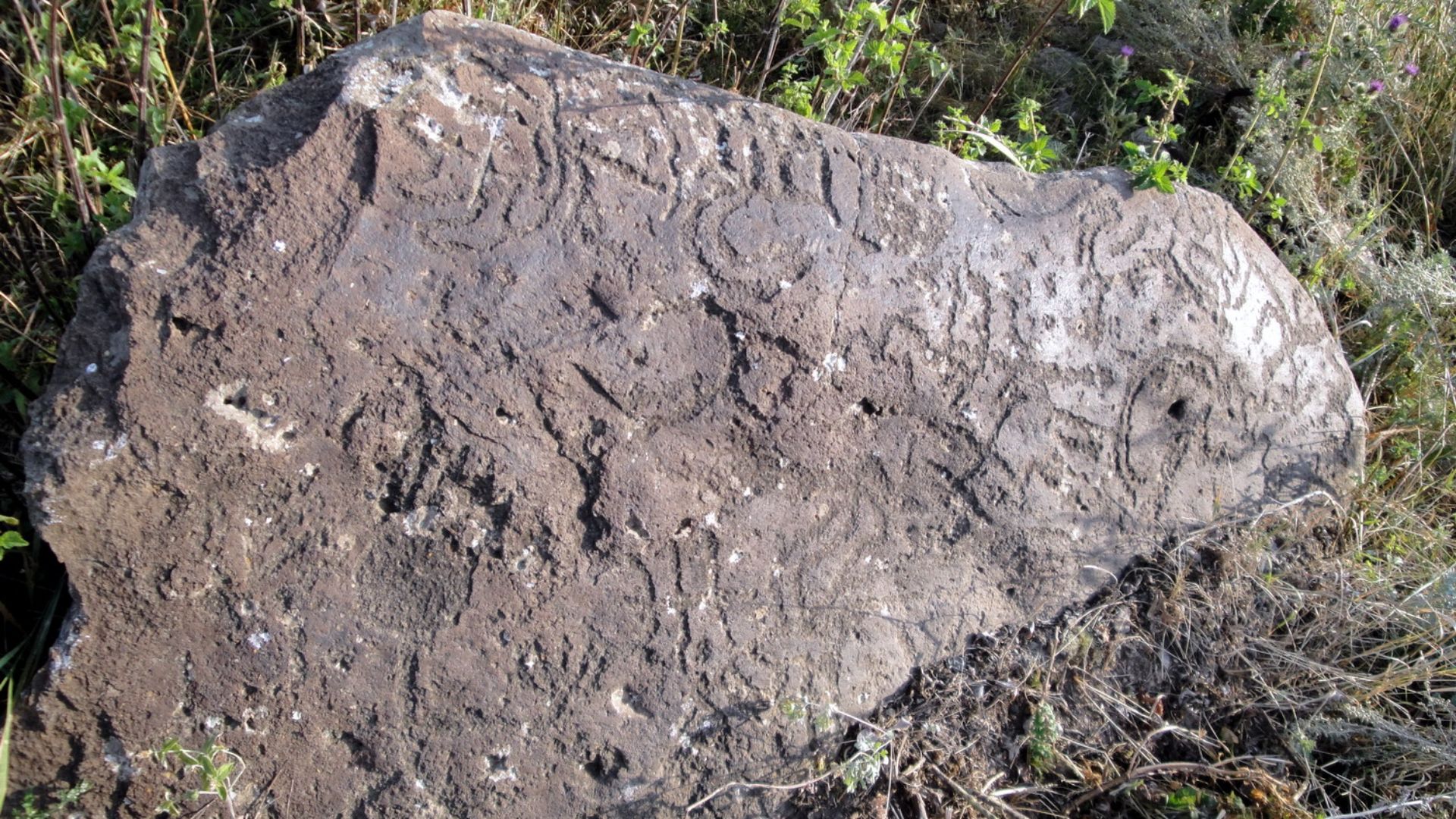 File:Qarvatchar (Qelbadjar), petroglyphs - panoramio.jpg