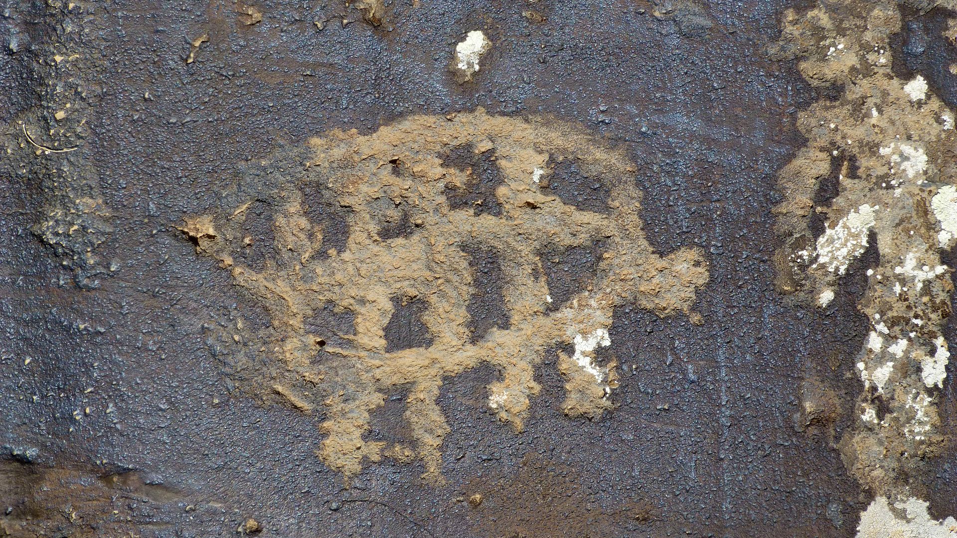 File:Ughtasar petroglyphs (16).jpg