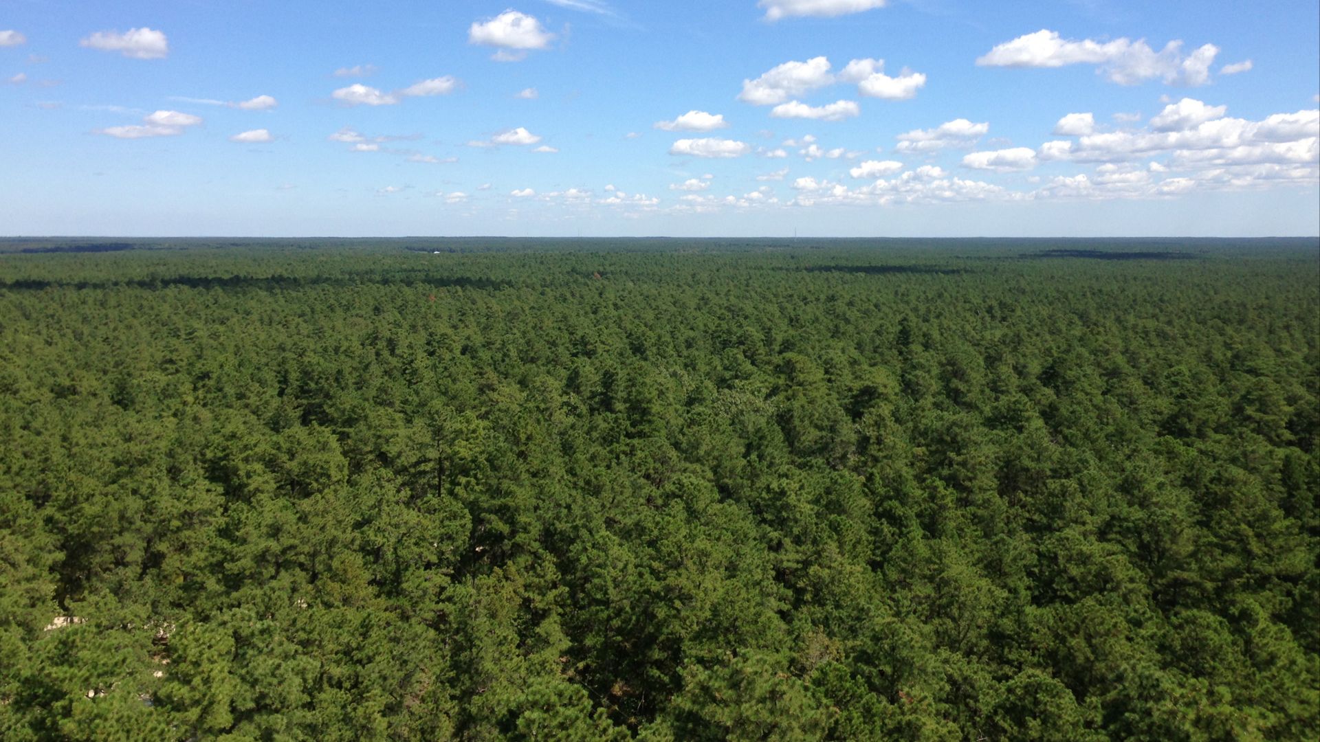 File:2014-08-29 11 51 25 View north-northeast from the fire tower on Apple Pie Hill in Wharton State Forest, Tabernacle Township, New Jersey.JPG