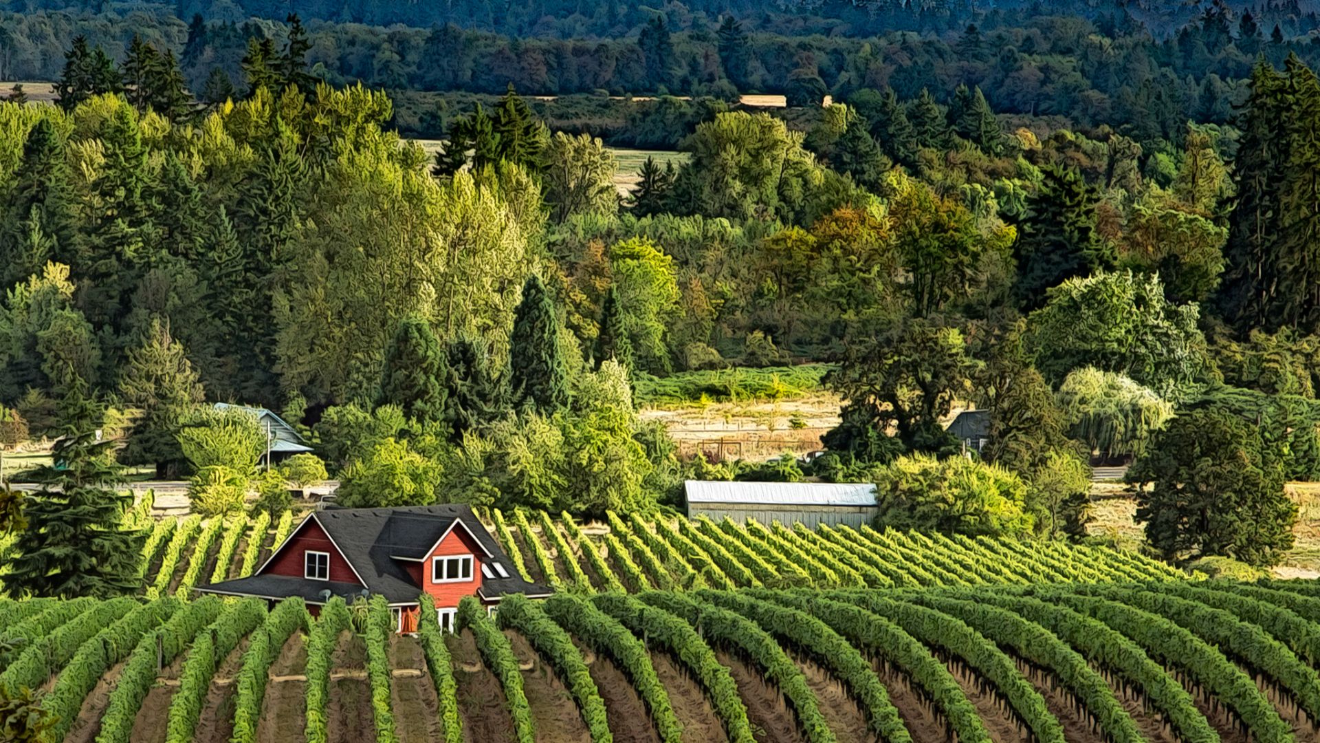 File:Willamette Valley Wine Country (25134584933).jpg