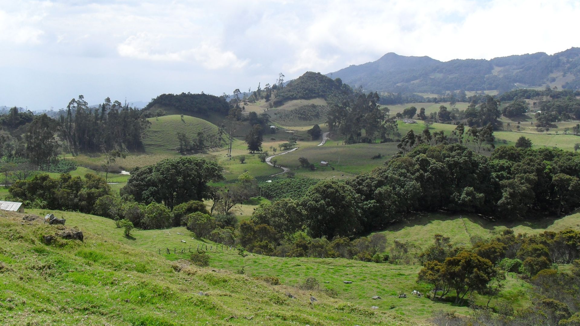 File:Altiplano cundiboyacence.jpg