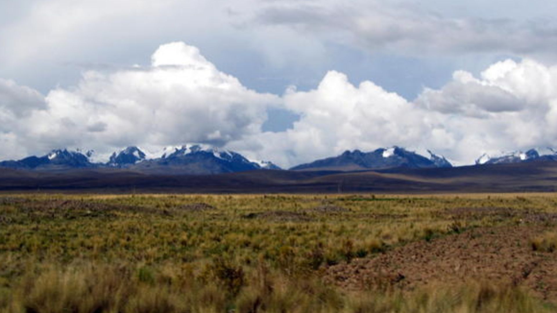 File:Altiplano.jpg
