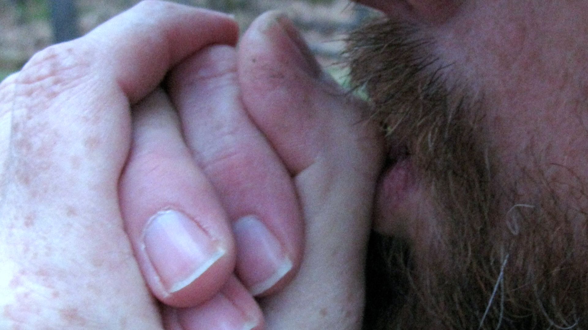 File:Hand whistle 3.jpg