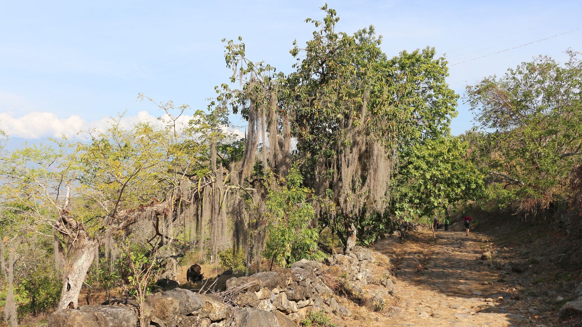 File:Camino Real de Barichara a Guane 06.jpg