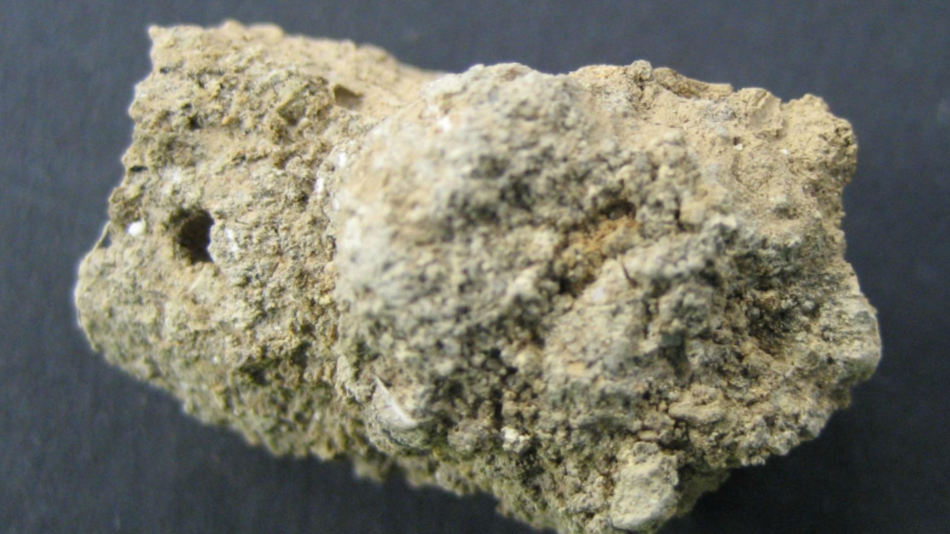 File:CHcoprolite.png