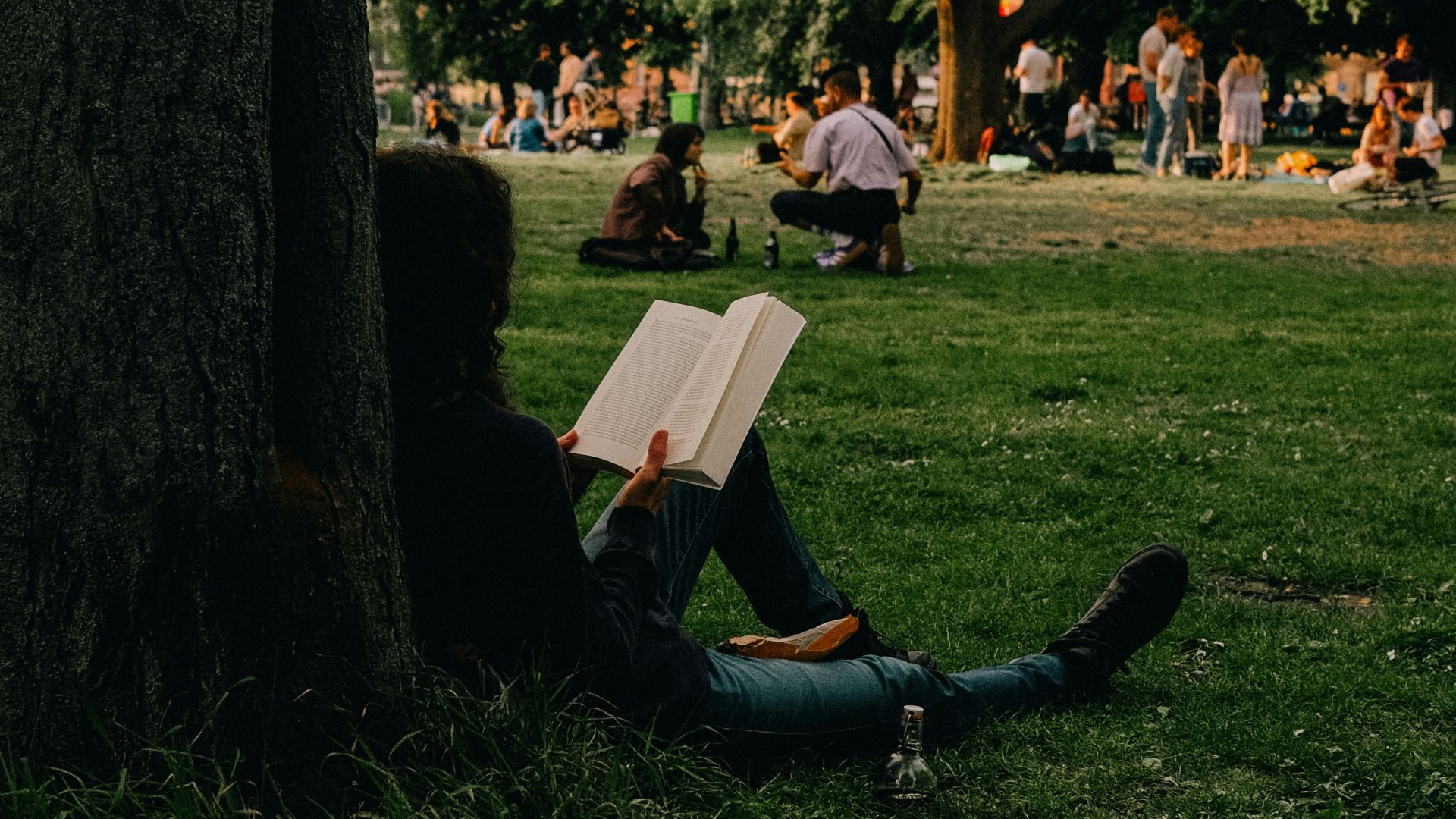 A person sitting under a tree reading a book