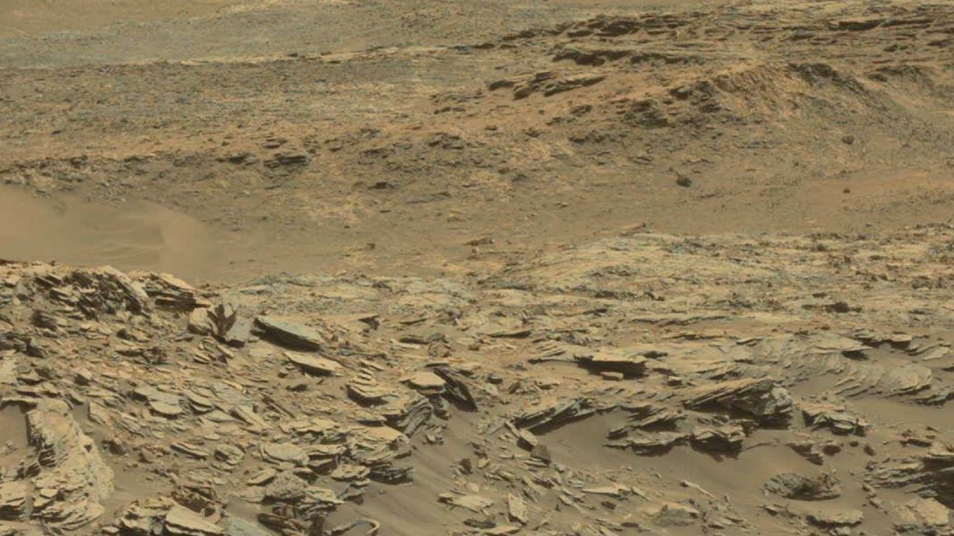 File:A Curving Rib Bone on Mars (21800761236).jpg