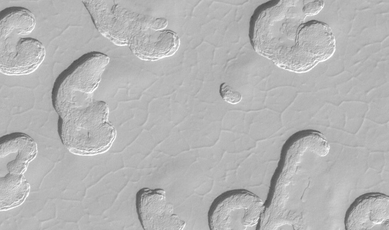 Swiss Cheese Terrain 