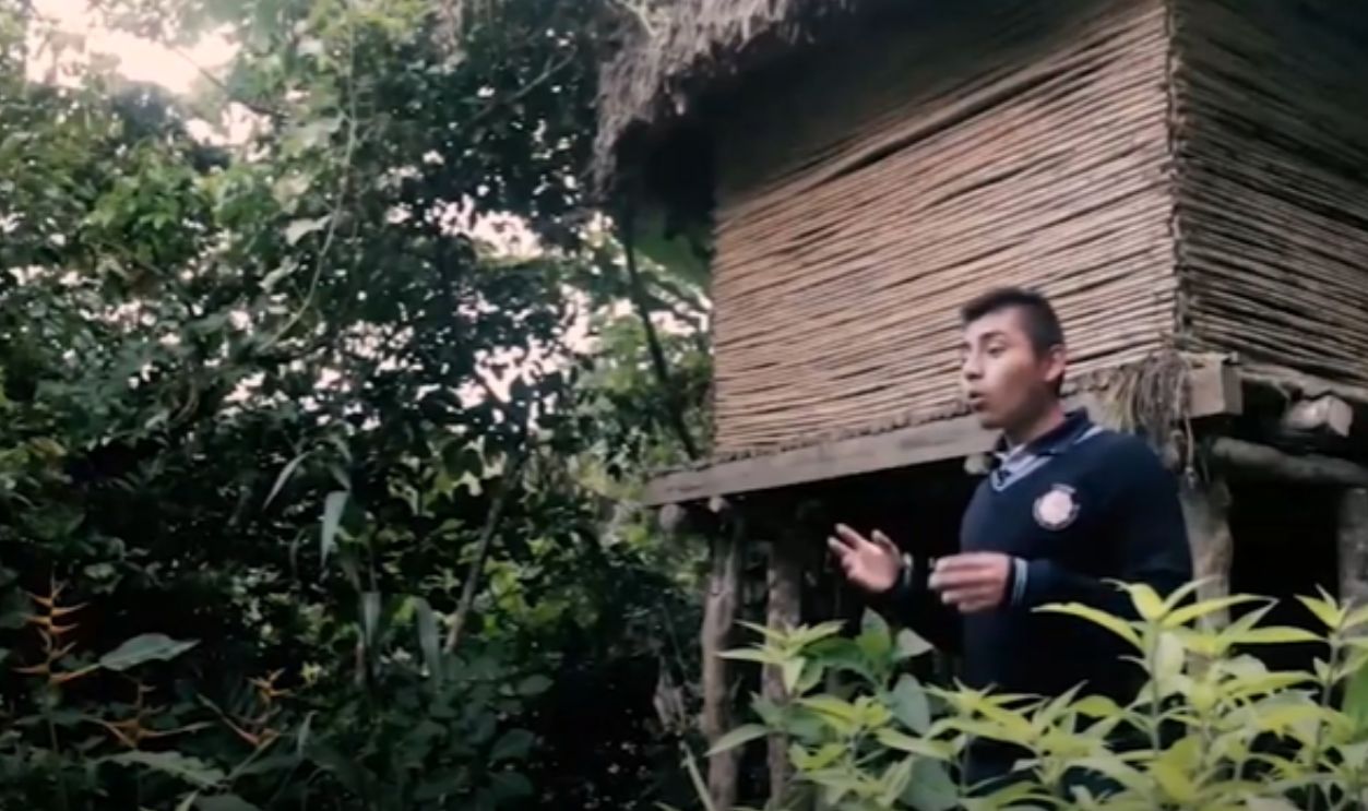 Language Confronts Tone