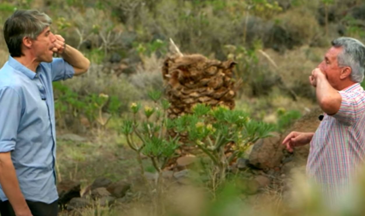 The Art Of Whistled Speech