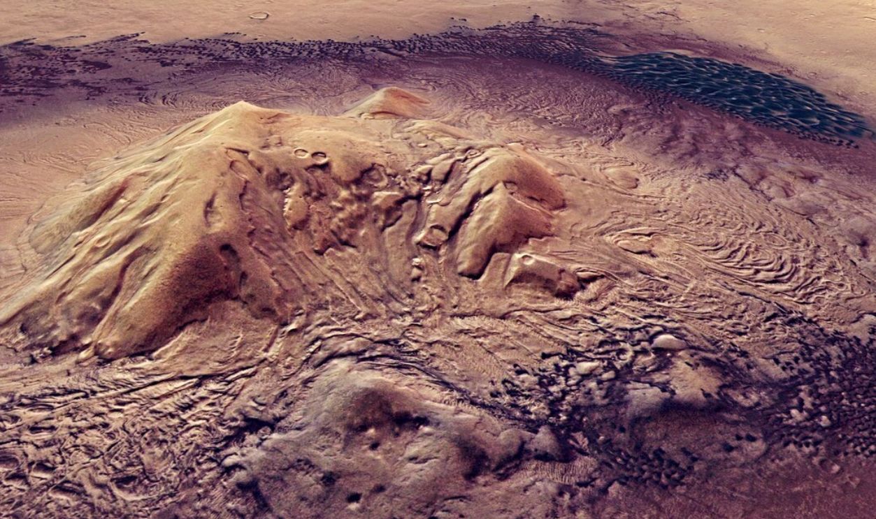 Untitled Design (39)