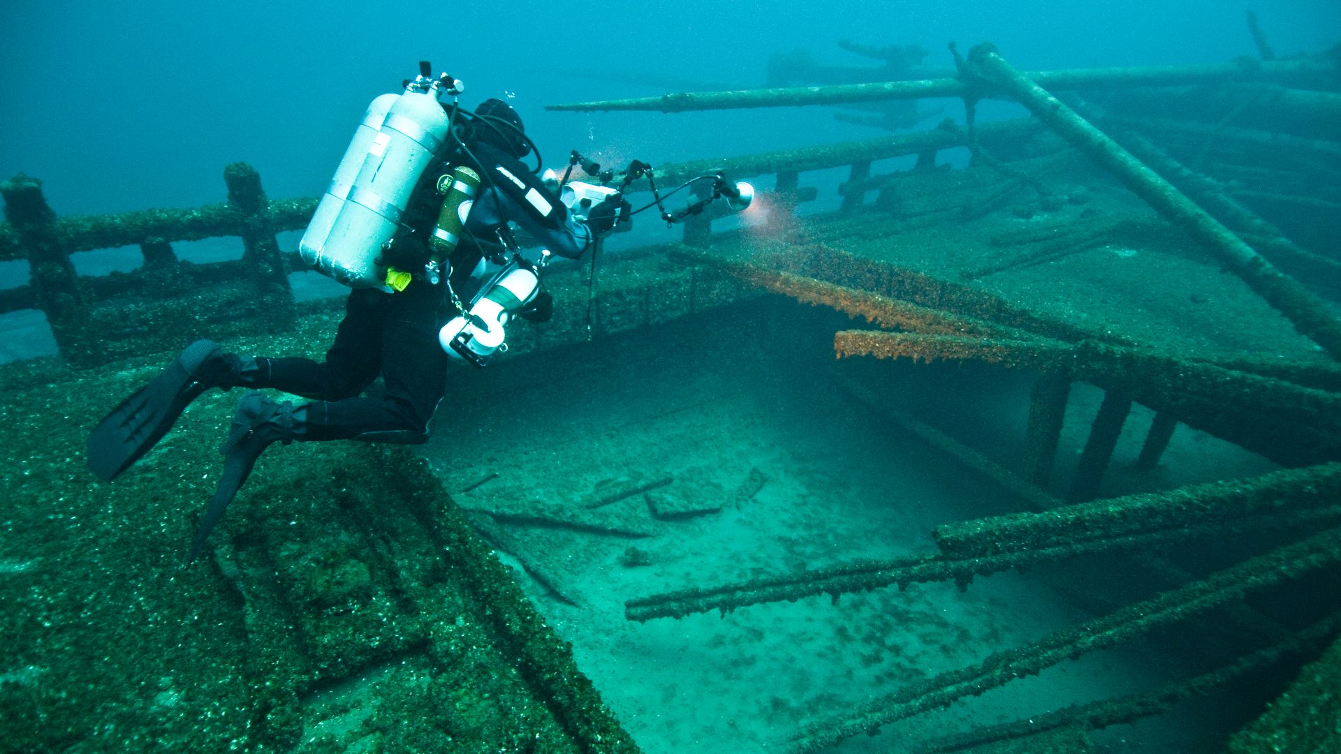 File:Audubon (8740805829).jpg