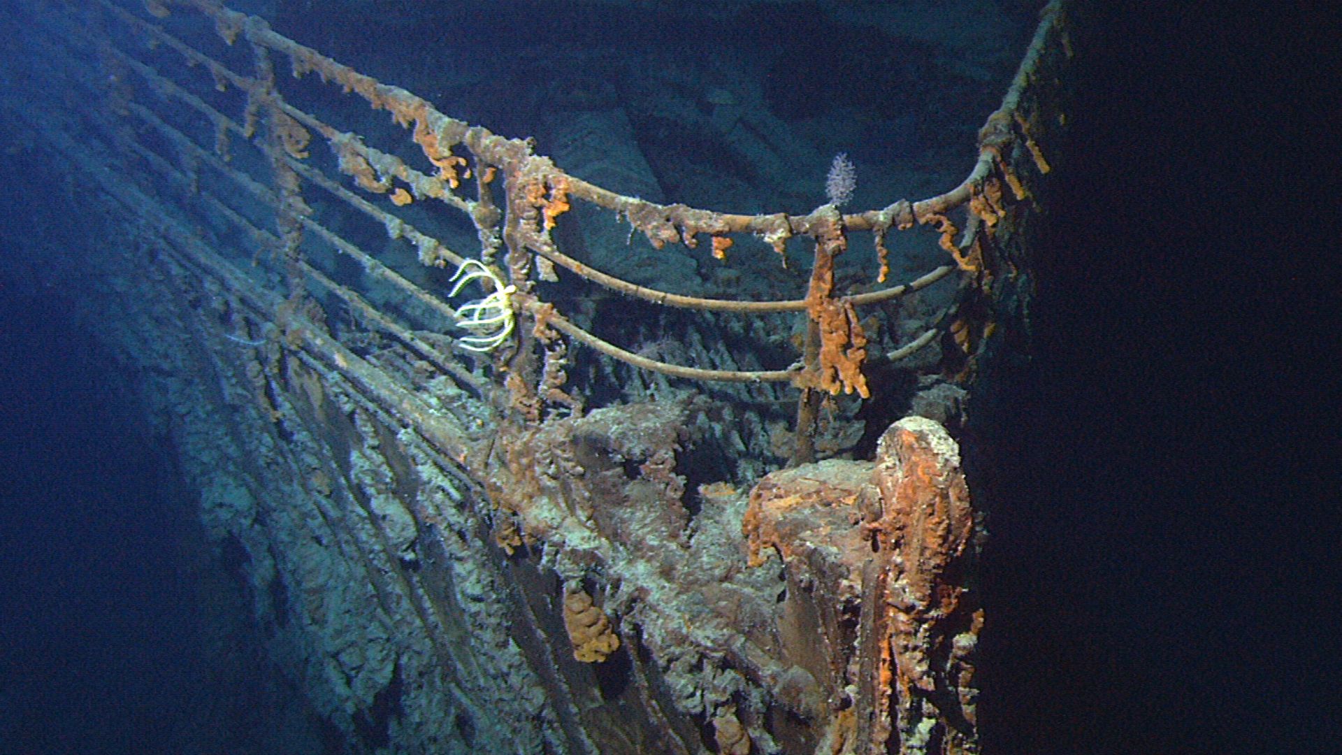 File:Titanic wreck bow.jpg